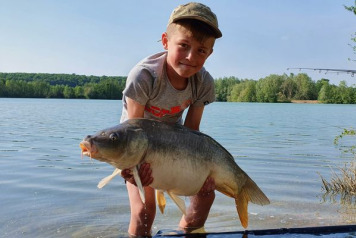 A short session on Lepinet - 4