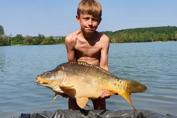 A Short Session on Lepinet - 6