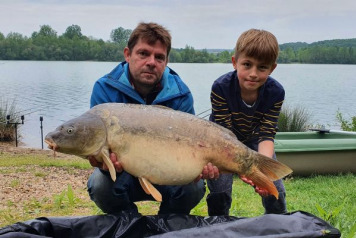 A short session on Lepinet - 10