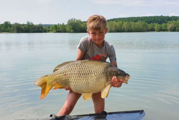 A short session on Lepinet - 1