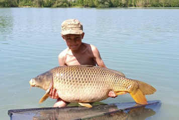 A short session on Lepinet - 5