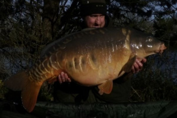 A Christmas Session - 2