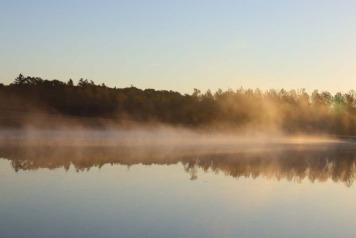 Boux over the years - 1