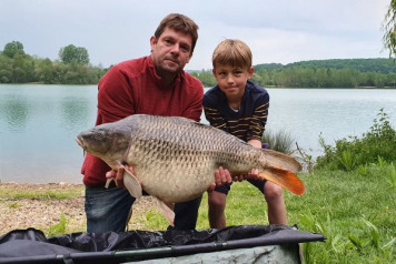 A short session on Lepinet - 12