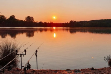 A Short Session on Lepinet - 11