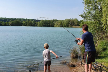 A Short Session on Lepinet - 12