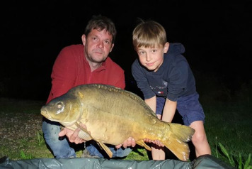 A short session on Lepinet - 2