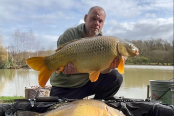 Short Sessions, Solid Action - 5