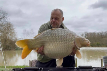 Short Sessions, Solid Action - 3