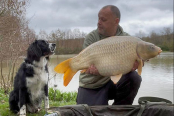 Short Sessions, Solid Action - 2