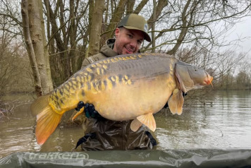 Additional Stock - 13