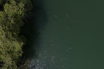 High Temperatures - 1