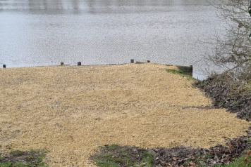 Swims Resurfaced - 2