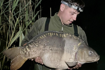 SUNSHINE AND 40'S - 4