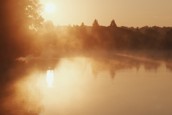 Carpology: Spotlight on Laroussi Video - 2