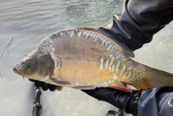 Final stocking For This Winter - 5