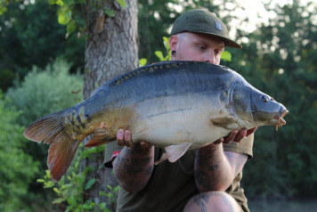 Woods bank updates - 10