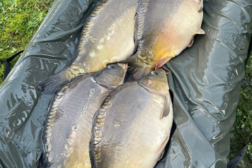 Additional Stocking - 5