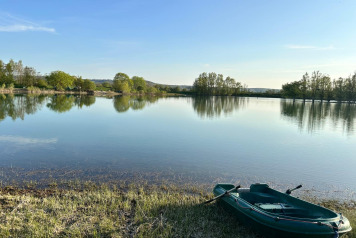 Water Level Update - 8