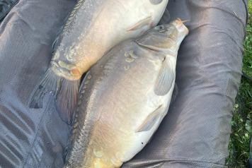 Additional Stocking - 7