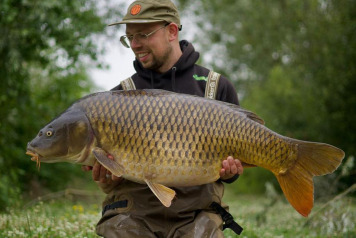 A beautiful koi is out - 2