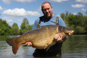 Old Oaks - Doing what it does best! - 3