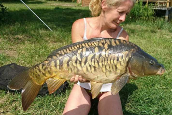 Beautiful fullys - 1