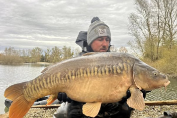 Additional Stocking - 3