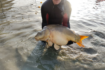 Netting & stock check - 3