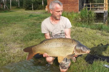 Beautiful fullys - 4