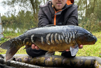 Magnificent Fish - 9