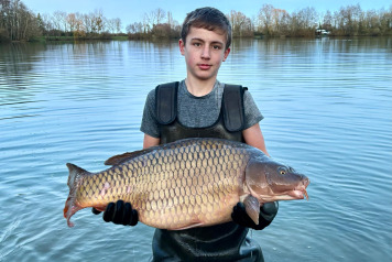 New Additional Stock - 5