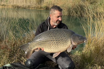New Arrivals at Golden Carp Lake - 1