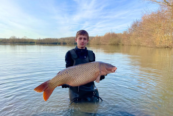 New Additional Stock - 4