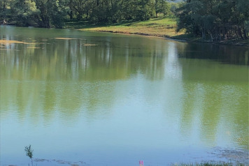 Water Level Update - 8