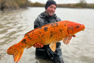 Annual draining and netting - 5