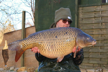 Merry Christmas! - 2