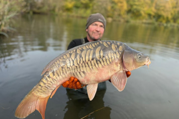 Additional Stocking - 1