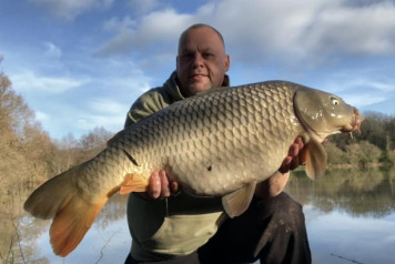 A gorgeous February afternoon - 2