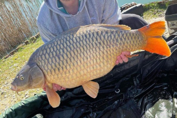 The Lump Club Is Open - 2