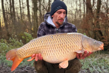 Christmas session - 4