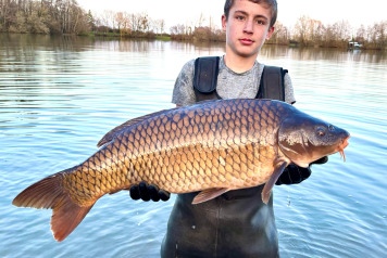 New Additional Stock - 7