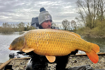 Additional Stocking - 2