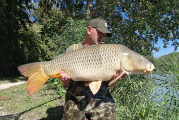 1 angler, 54 carp! - 1