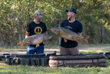 Summer Session on Lepinet - 2