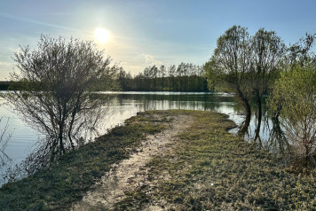 Water Level Update - 4