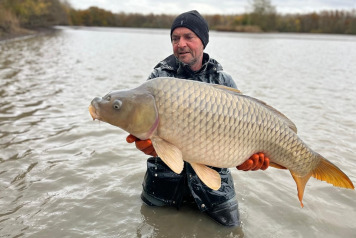 Annual draining and netting - 3