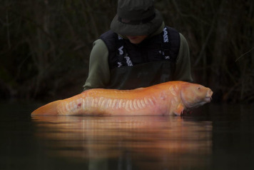 Christmas fishing - 1