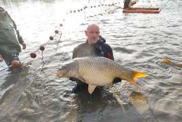 Netting & stock check - 6