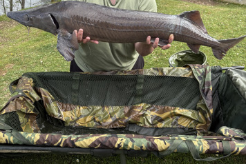 A nice family session at Cerises - 2